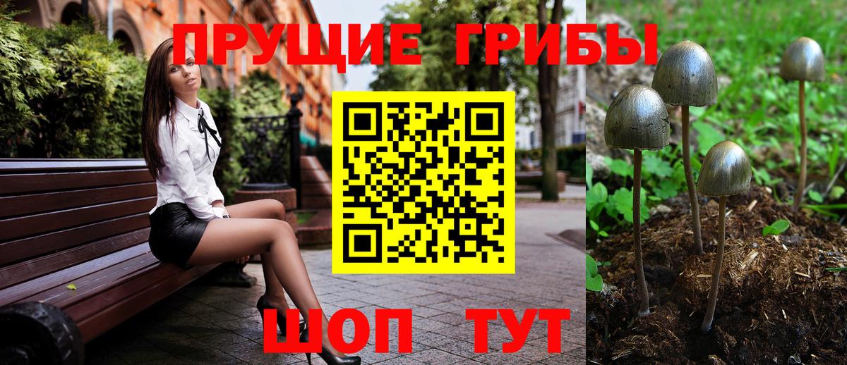 Галлюциногенные грибы Psilocybine cubensis  Вход с VPN  Ижевск 